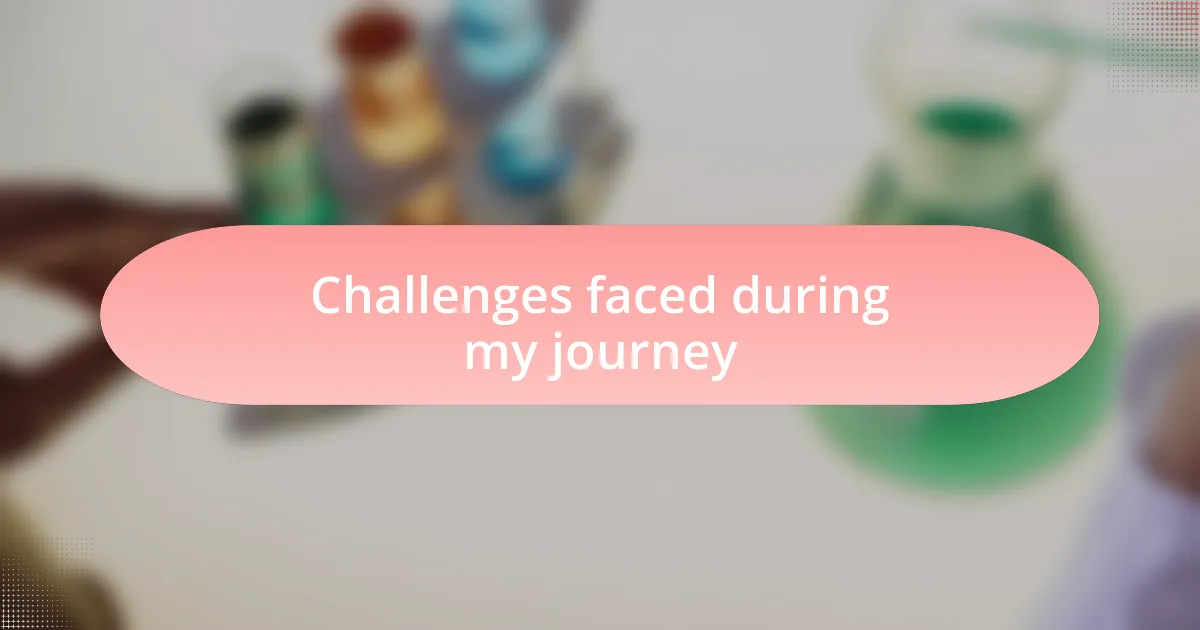 Challenges faced during my journey